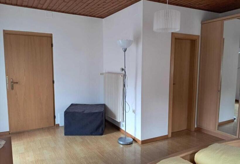 شقة سوبريور غرفة واحدة, Weberhof Toblach