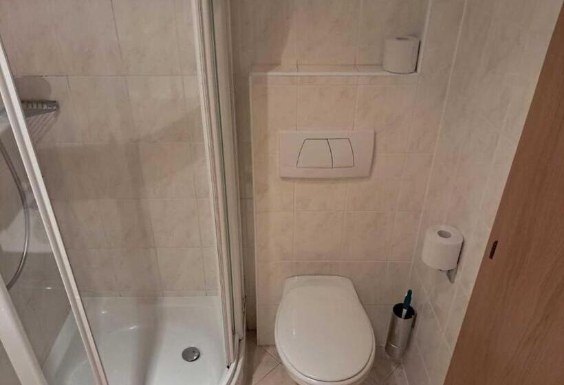 شقة سوبريور غرفة واحدة, Weberhof Toblach