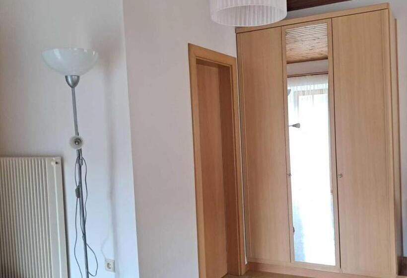 شقة سوبريور غرفة واحدة, Weberhof Toblach