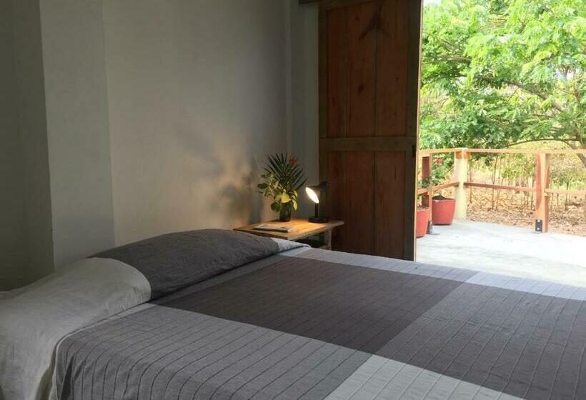 اتاق استاندارد با تراس, Casa Juana Palomino