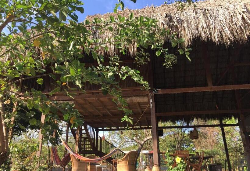 اتاق استاندارد, Casa Juana Palomino