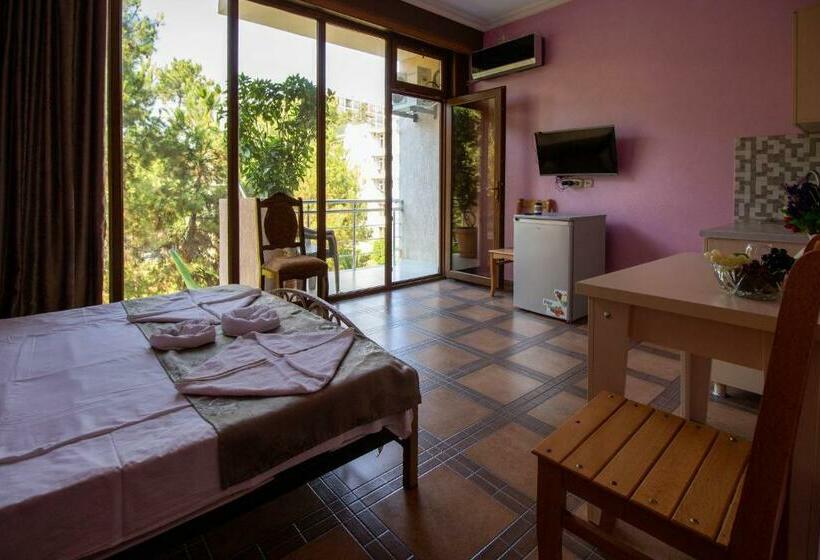 استودیوی لوکس, Inter