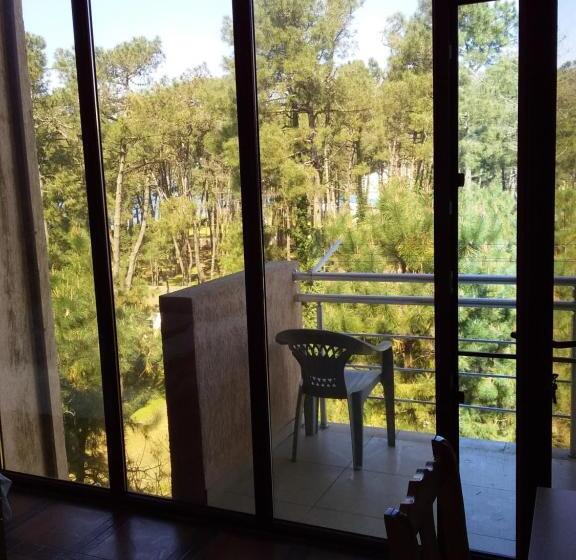 استودیوی لوکس, Inter