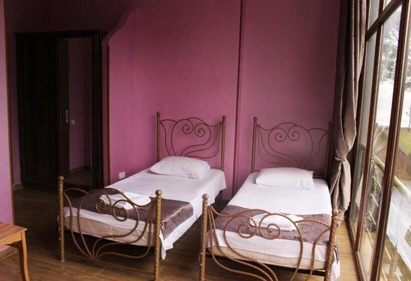 اتاق استاندارد, Inter