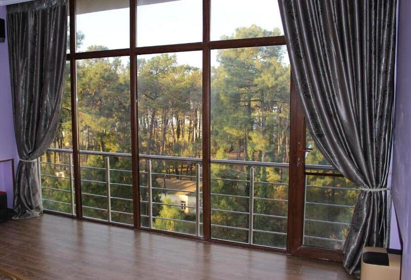 اتاق لوکس خانوادگی, Inter