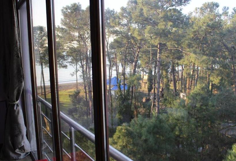 اتاق لوکس خانوادگی, Inter