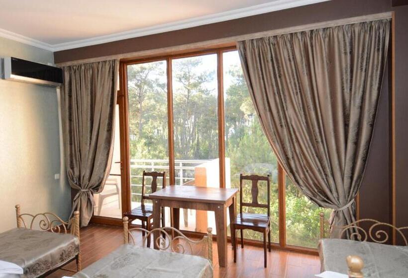 اتاق اساندارد با چشم‌انداز جانبی به دریا, Inter