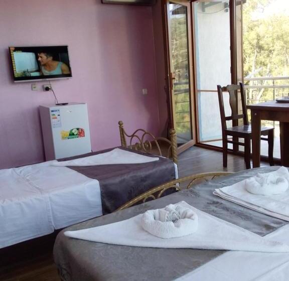 اتاق استاندارد سه تخته با بالکن, Inter