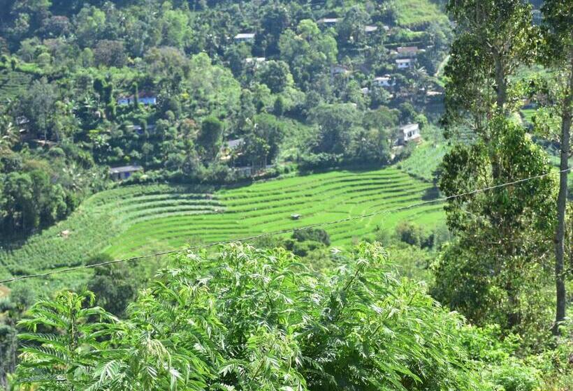 디럭스 패밀리 룸, Ornateview