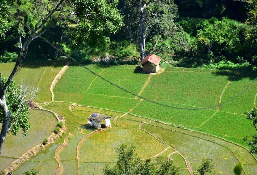 디럭스 패밀리 룸, Ornateview