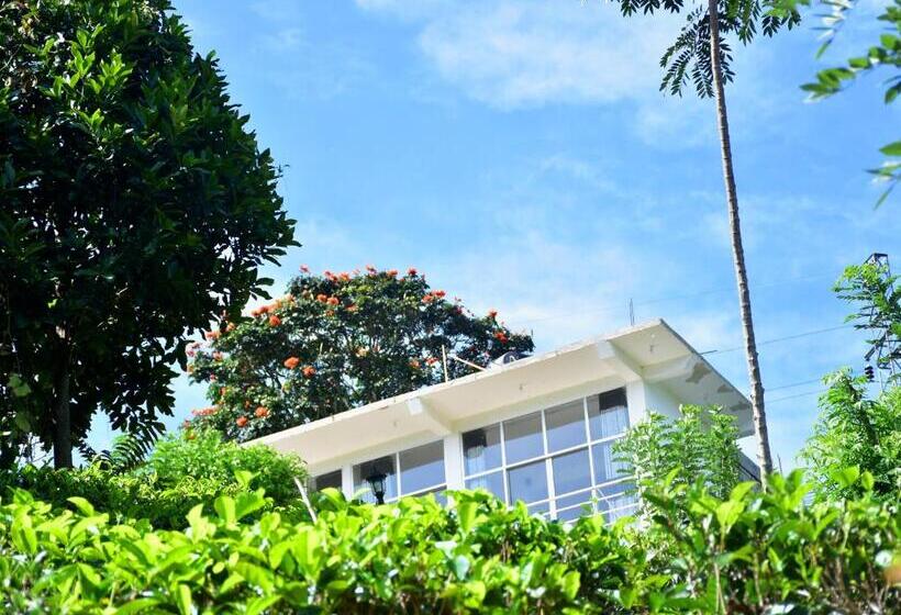 디럭스 패밀리 룸, Ornateview