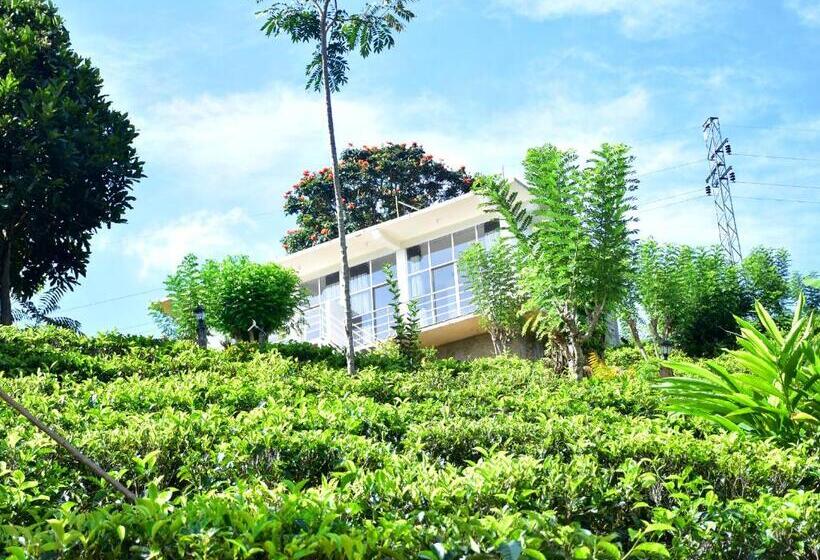 디럭스 패밀리 룸, Ornateview