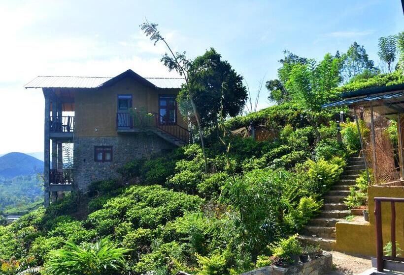 디럭스 패밀리 룸, Ornateview