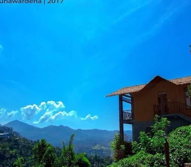 스탠다드 발코니 룸, Ornateview