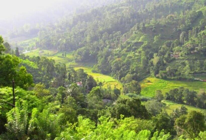 스탠다드 발코니 룸, Ornateview