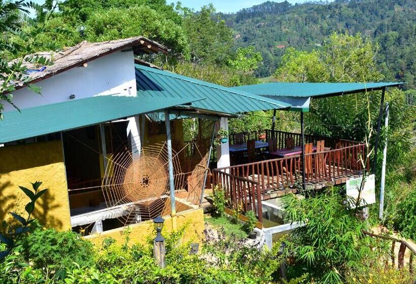 디럭스 패밀리 룸, Ornateview