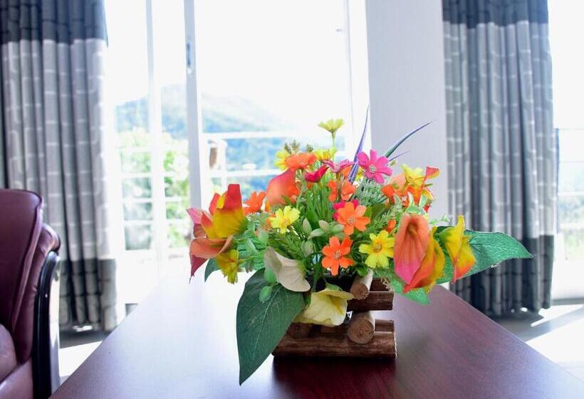 디럭스 패밀리 룸, Ornateview