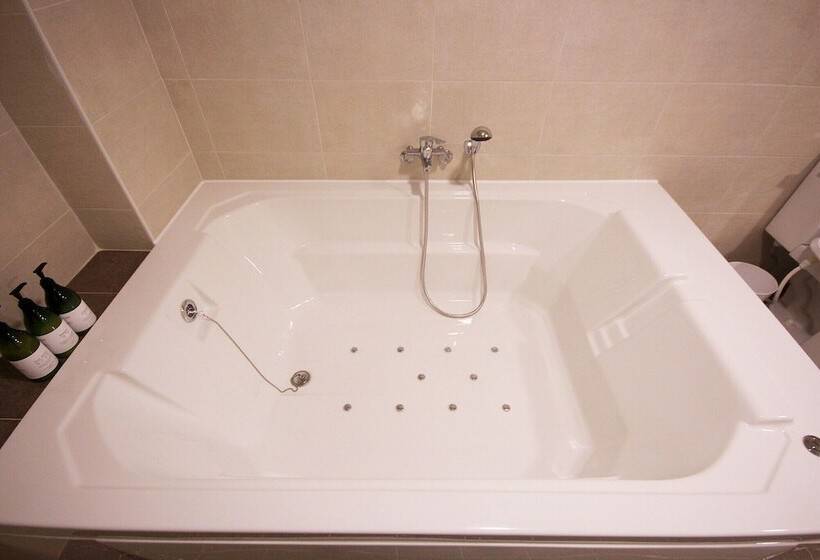 سوییت, Busan Sasang Vins70