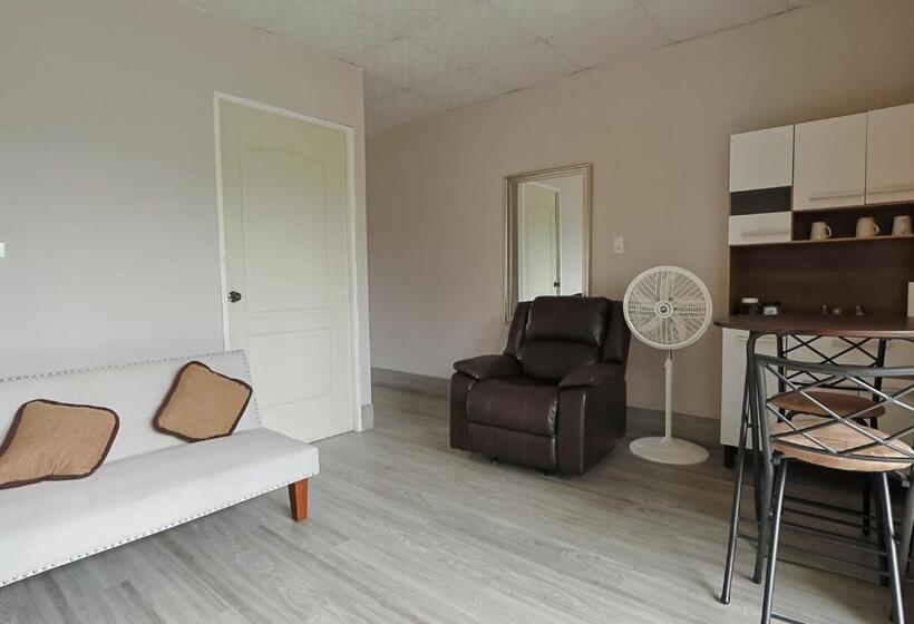 Апартаменты Deluxe 1 Спальня, D Rosas Apartments