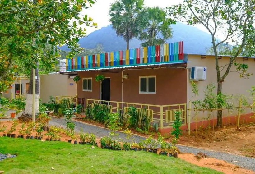 Standard-studio King-vuode, Melody Resorts