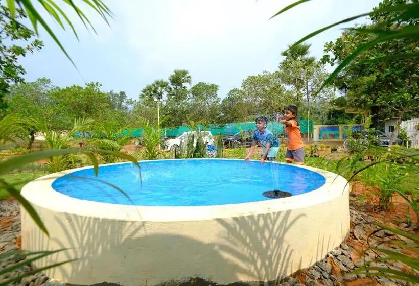 Standard-studio King-vuode, Melody Resorts