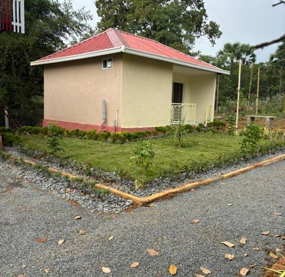 스탠다드 스튜디오 킹침대, Melody Resorts