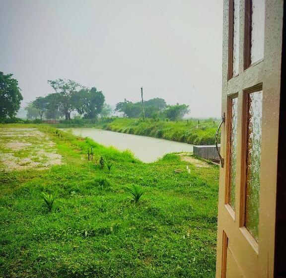 家庭间, Kaia Farm Stay & Garden Cafe Free Fishing