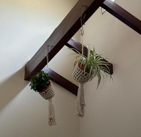 חדר סטנדרט, Lo De Ana