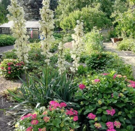 Дом 2 Спальни, Ferienhaus Am Kleinbauernhof Gersdorf Bei Kühlungsborn
