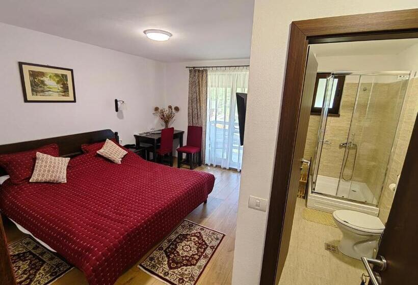 חדר סטנדרט, Pensiunea Pastravaria Vistisoara