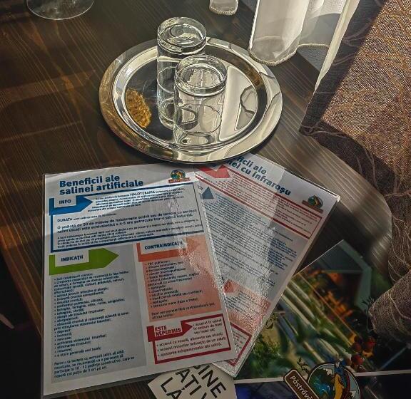 חדר סטנדרט, Pensiunea Pastravaria Vistisoara