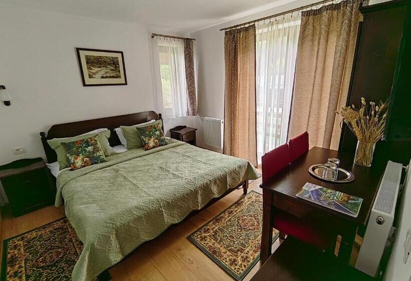 חדר דלוקס, Pensiunea Pastravaria Vistisoara