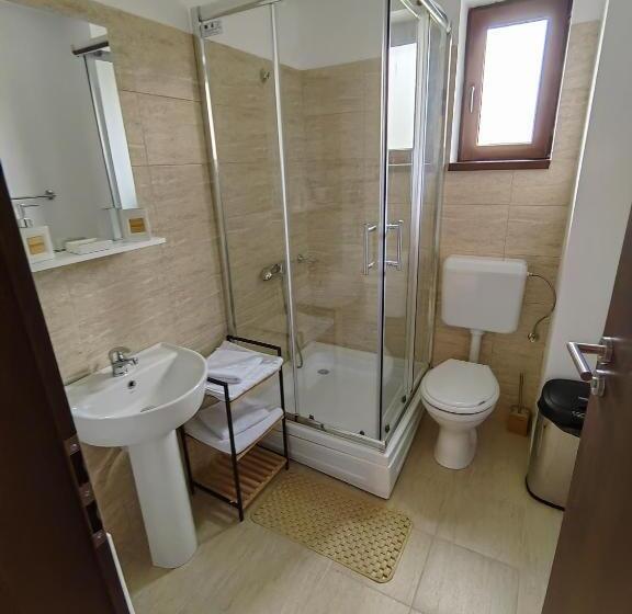 חדר דלוקס, Pensiunea Pastravaria Vistisoara