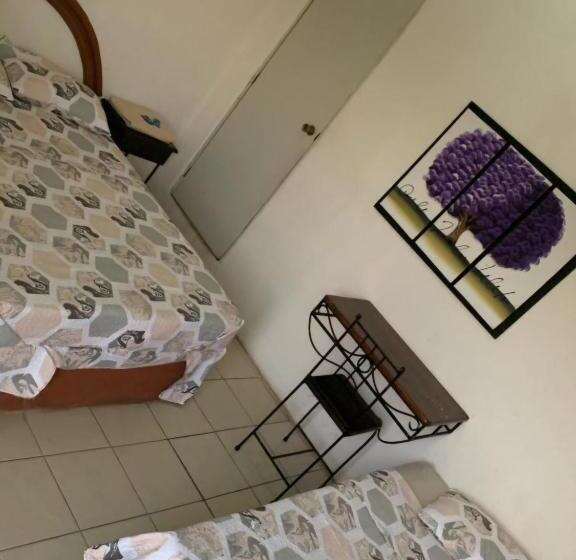 חדר סטנדרט, Pardo