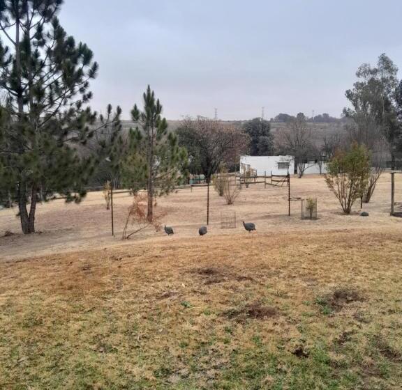 수피리어 룸, Woburn Guest House