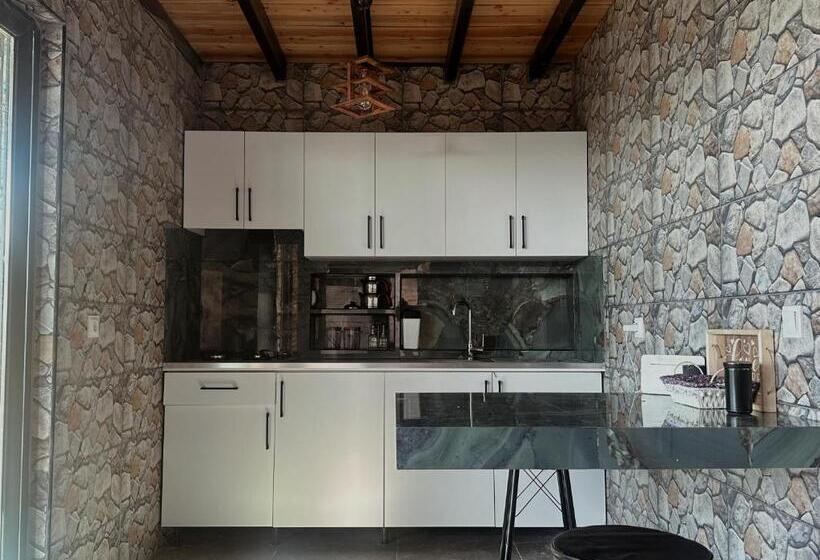 استودیو استاندارد با بالکن, Belen Lodge