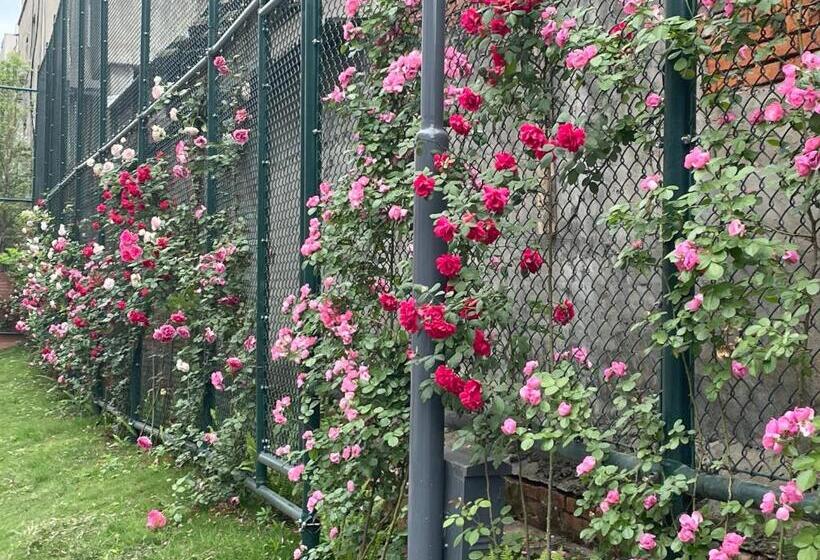 اتاق لوکس, Jinyang Xinyi Hotel   Tianfu International Airport