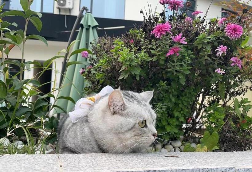 اتاق خانوادگی, Jinyang Xinyi Hotel   Tianfu International Airport
