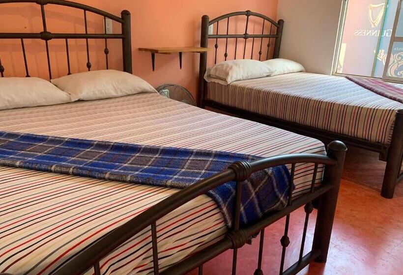 Economy Quadruple Room, Anamaya Hostal