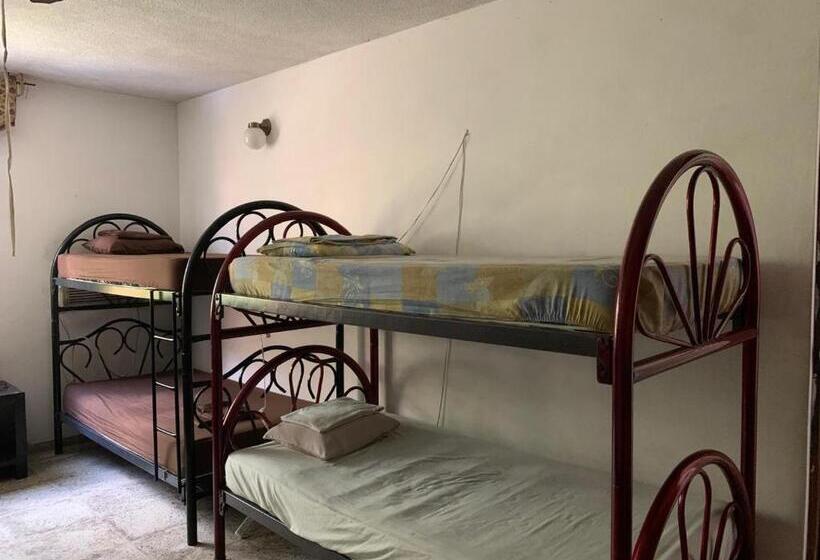 ルームシェアのワンベッド, Hostal Cumbres De El Salvador Escalón