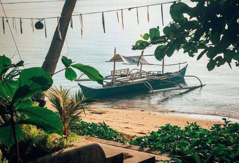 اتاق لوکس, Shakabrah Resort And Skatepark