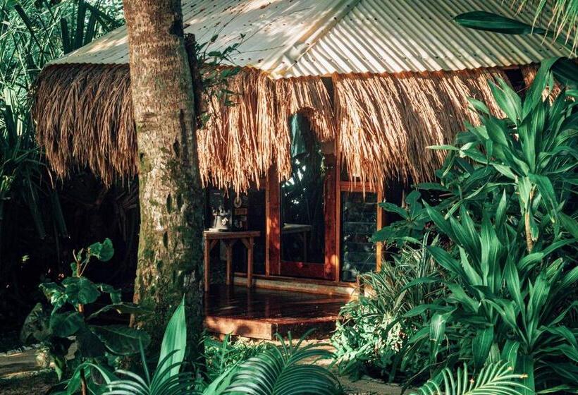 اتاق استاندارد, Shakabrah Resort And Skatepark