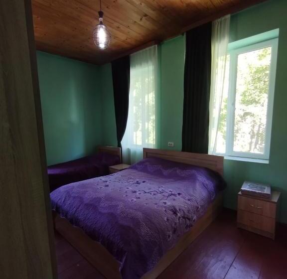 اتاق خانوادگی با چشمانداز کوه, Guest House Udziro