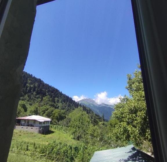 اتاق خانوادگی با چشمانداز کوه, Guest House Udziro