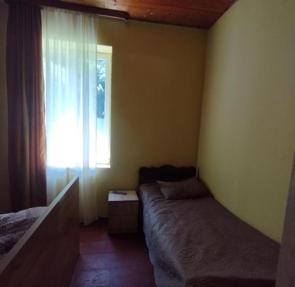 اتاق استاندارد سه تخته با چشمانداز باغ, Guest House Udziro