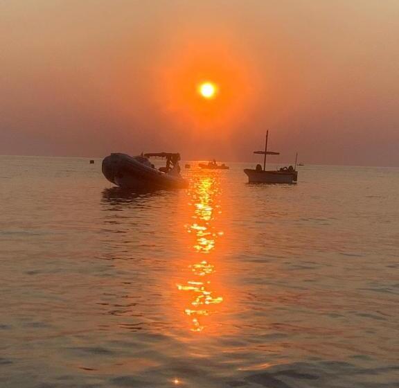 Номер Стандарт, Nonna Mari