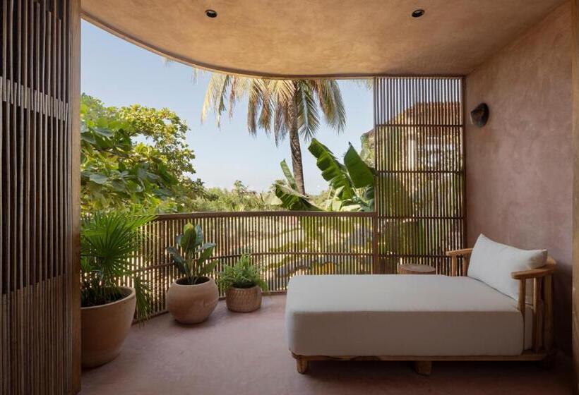 高级大房间, Boutique Xiqué