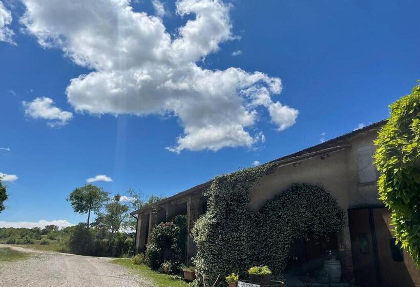 带1个卧室的高级公寓, Nuova Scardua Agr Cucina Tipica