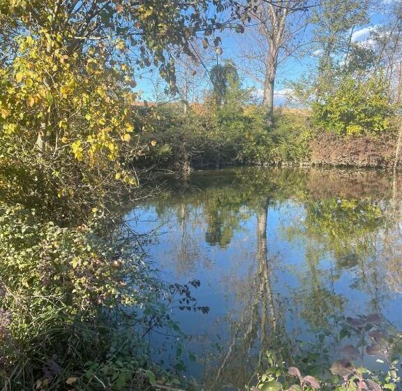 四人高级间, Nuova Scardua Agr Cucina Tipica