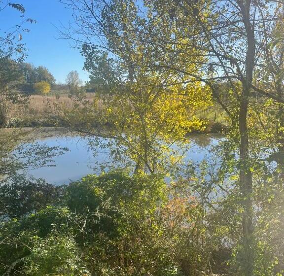 四人高级间, Nuova Scardua Agr Cucina Tipica